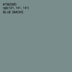 #798D8D - Blue Smoke Color Image